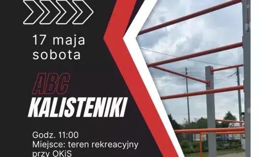 Zdjęcie do Aktywna sobota z OKiSem - ABC KALISTENIKI 
