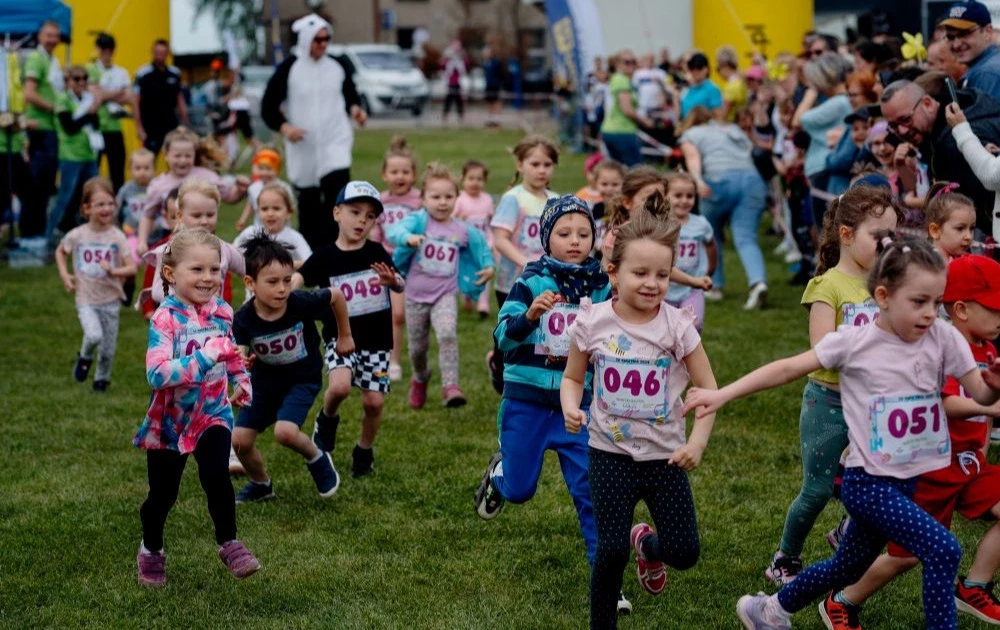 Zdjęcie do WARTKI BAJTEL i WARTKO!... z PATYKAMI